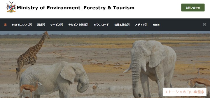 「ナミブ砂漠①アクセスとデッドフレイ周辺」徹底ガイド 【旅の大事典】